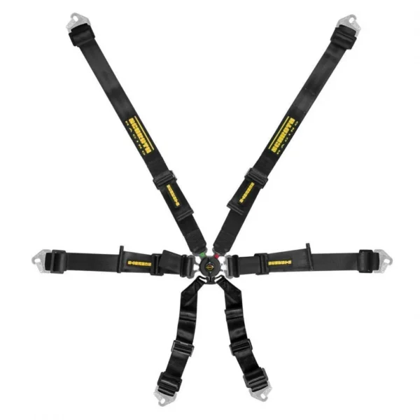 Schroth 6 Points 2" Flexi Harness (FIA, Hans)