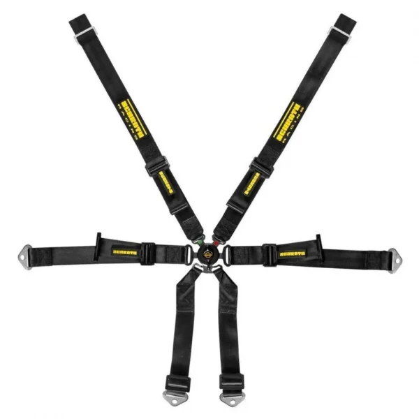 Schroth 6 Points 2" Profi Harness (FIA, Hans) for Porsche Cayman 981
